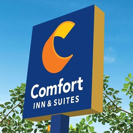 Comfort Inn & Suites Texas City Exterior foto